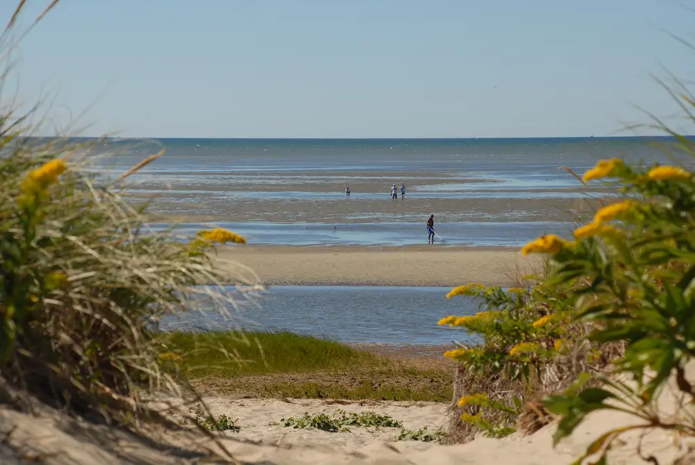 first encounter beach