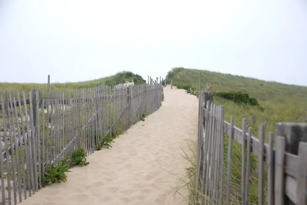 nauset beach