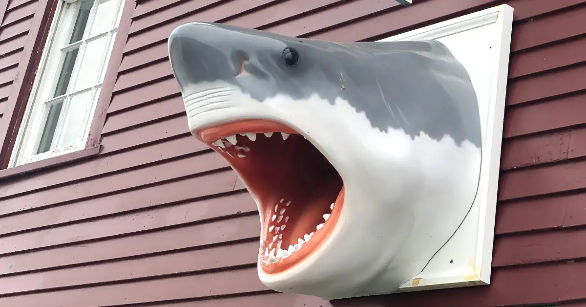 A shark's head marks the AWSC Provincetown Shark Center.